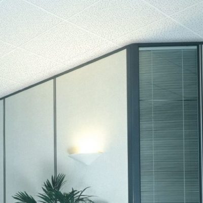 Elephant-TexturTouch-Gypsum-Ceiling-Tile-opkeu33dljxygbsjpk22a7o7jwru4teh9mdv3ac8eg