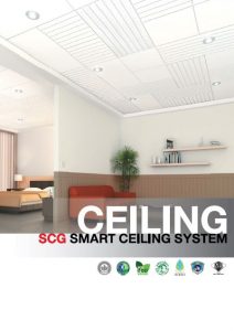 false ceiling