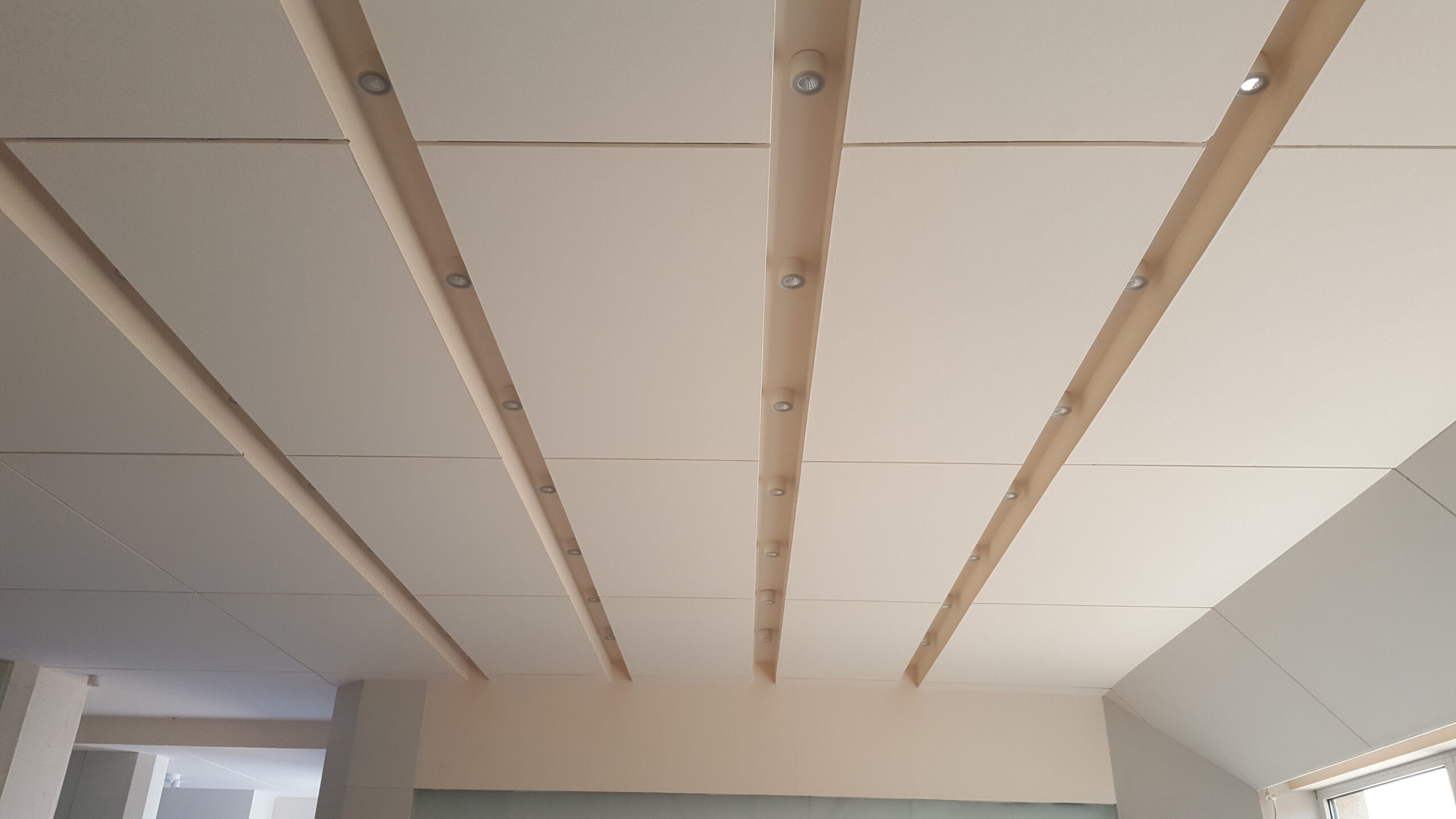 Buy Ceiling System