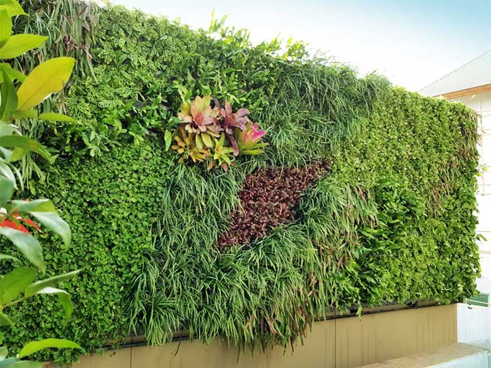 Verticle Garden help your living more comfort