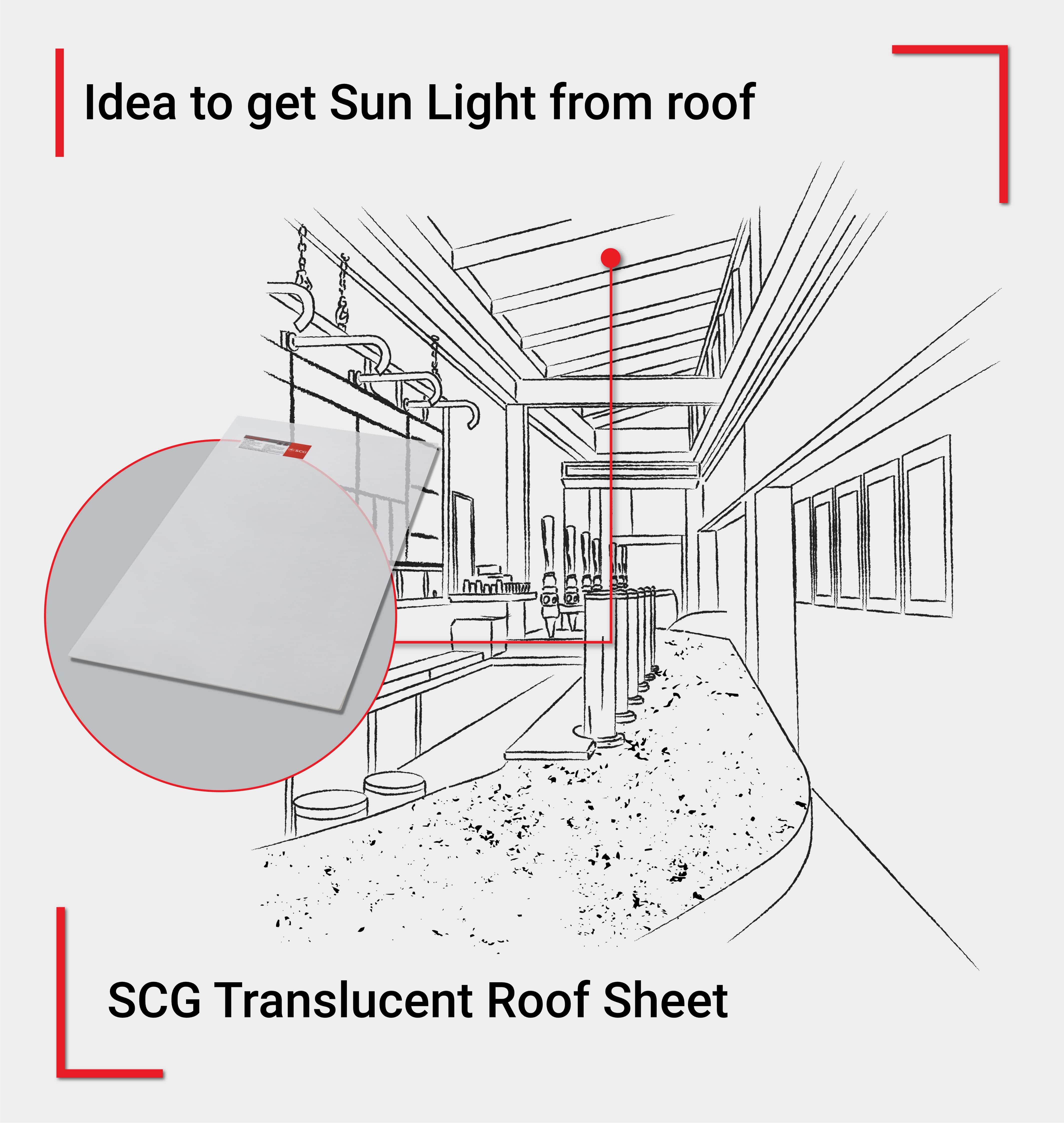 SCG translucent roof sheet in Eureka Coffee shop