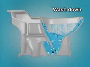 Wash – Down Toilet System