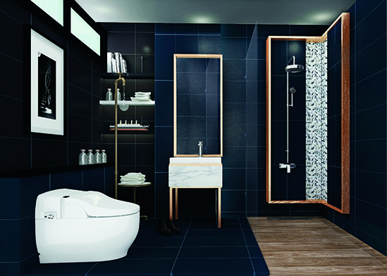 bathroom designs to match your house