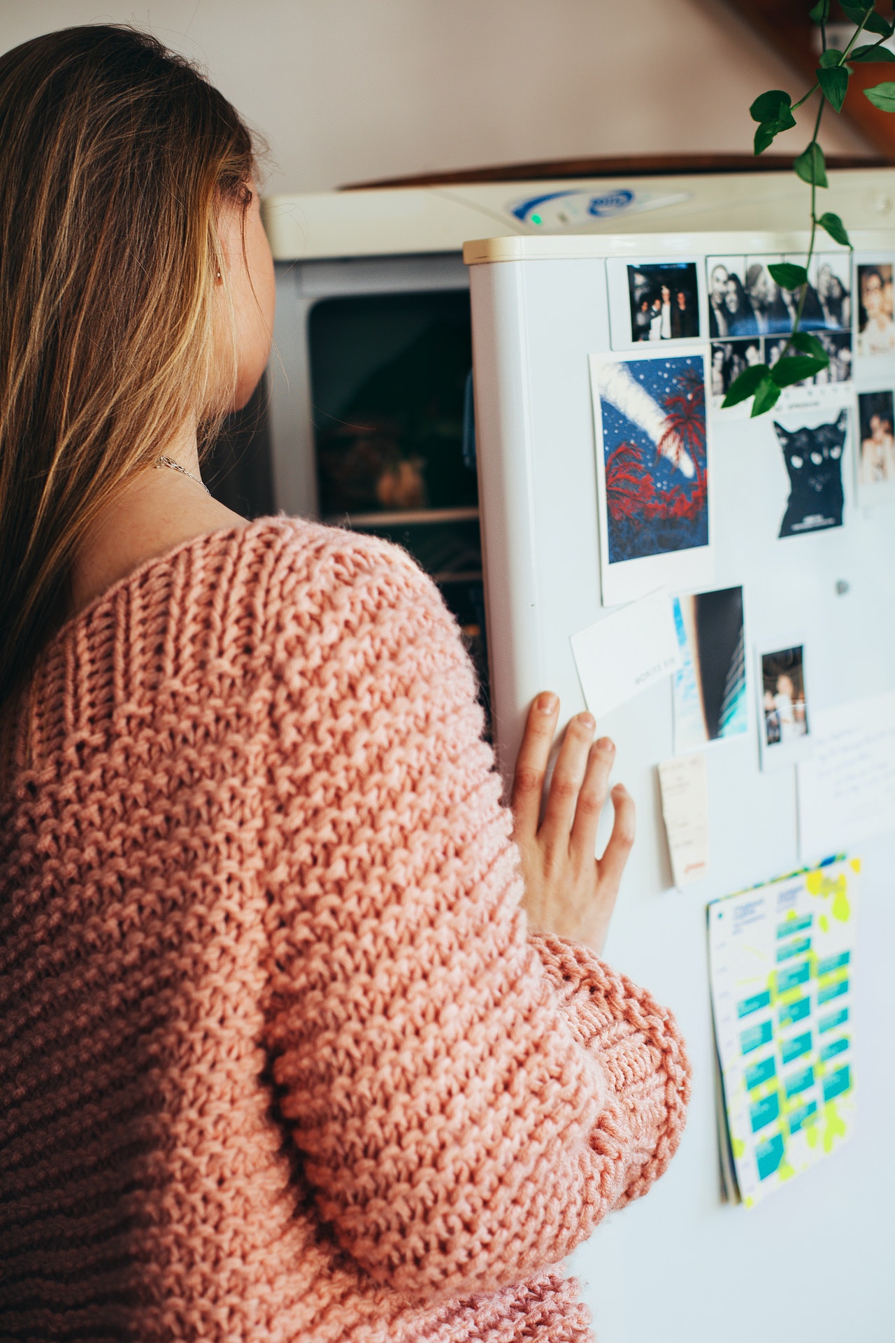 how to select the refrigerator in order to get the money’s worth for us